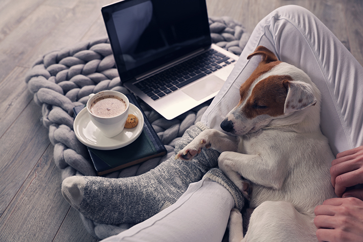 Winter Energy-Saving Tips